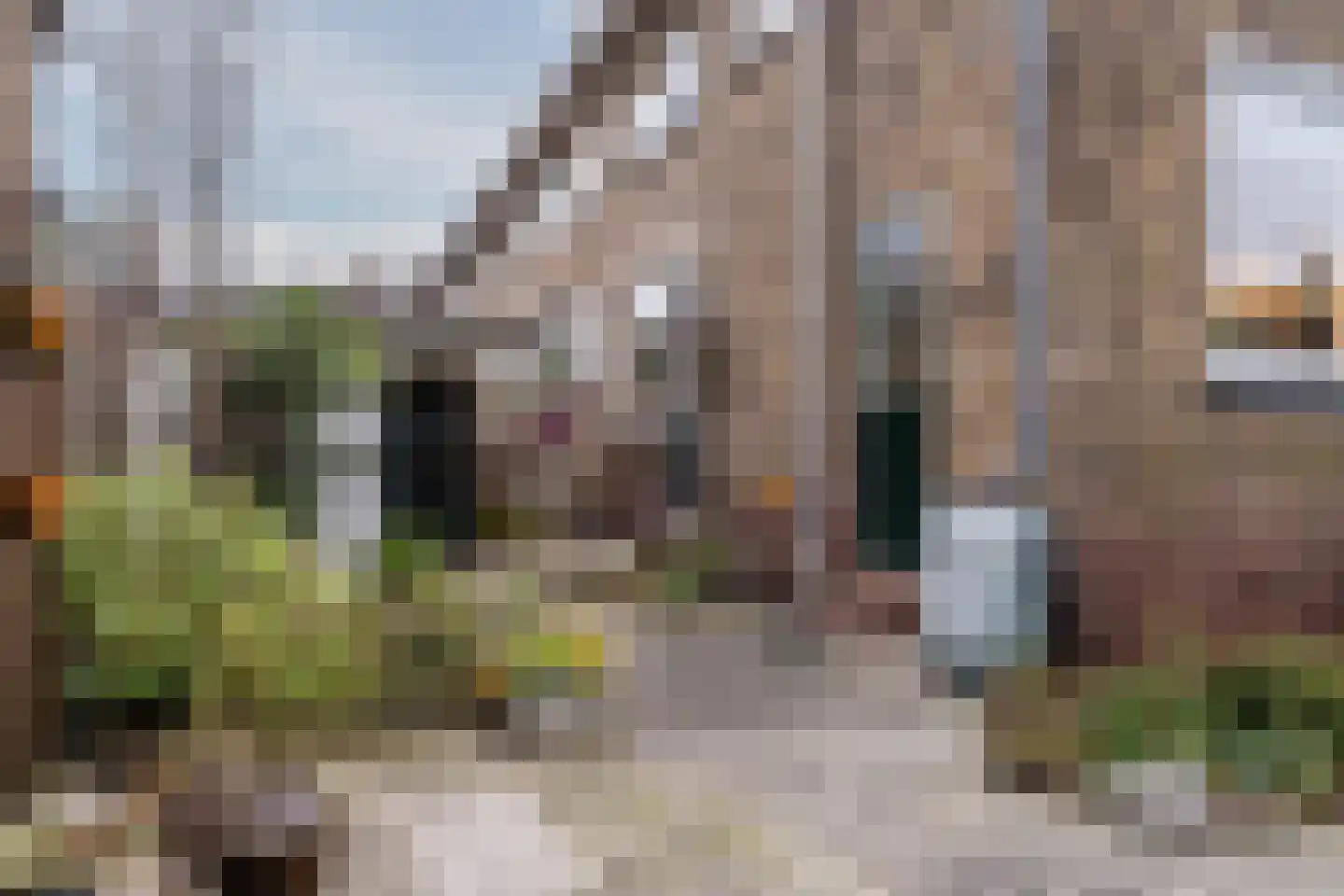 Pellekaanstraat 12 Koog aan de Zaan thumbnail 45