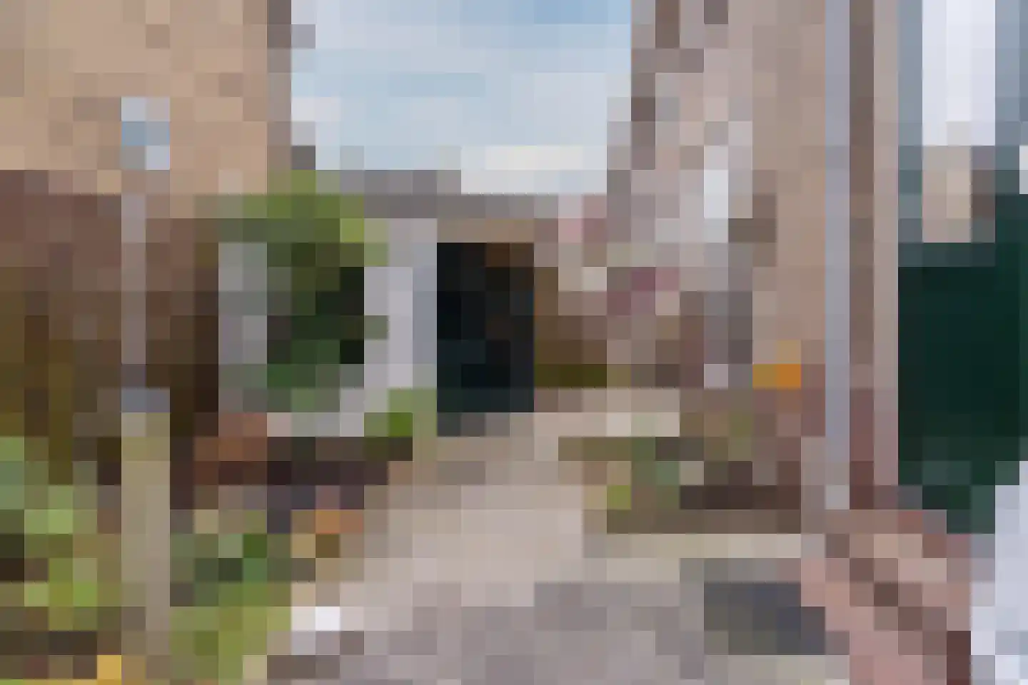 Pellekaanstraat 12 Koog aan de Zaan thumbnail 46