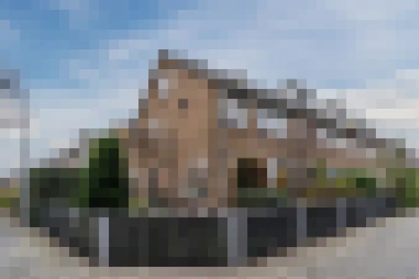 Pellekaanstraat 12 Koog aan de Zaan thumbnail 5