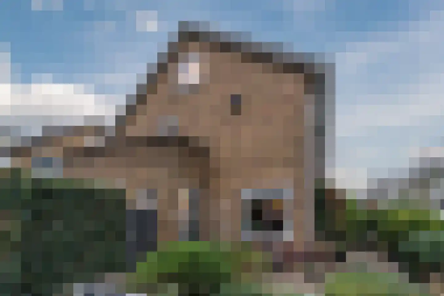 Pellekaanstraat 12 Koog aan de Zaan thumbnail 6