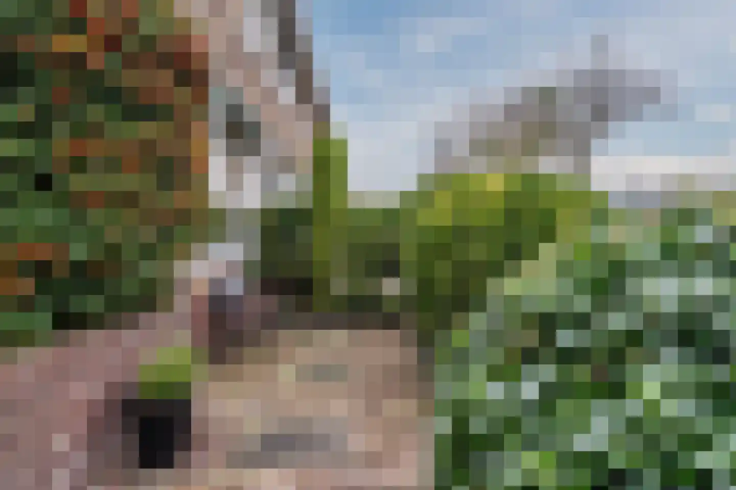 Pellekaanstraat 12 Koog aan de Zaan thumbnail 7