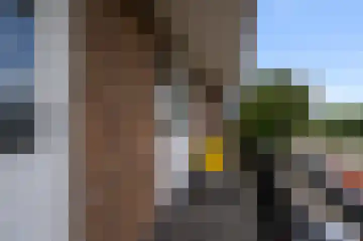 Pellekaanstraat 32 B Koog aan de Zaan thumbnail 22
