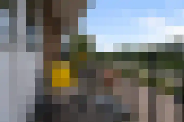 Pellekaanstraat 32 B Koog aan de Zaan thumbnail 23