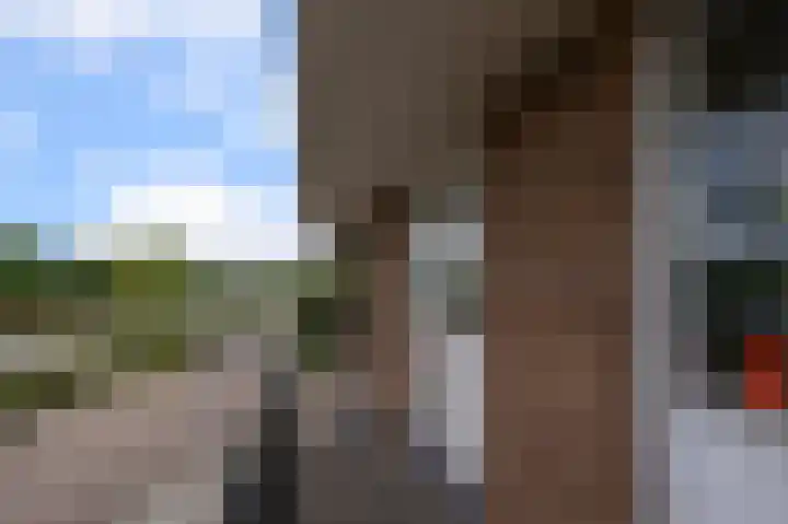 Pellekaanstraat 32 B Koog aan de Zaan thumbnail 24