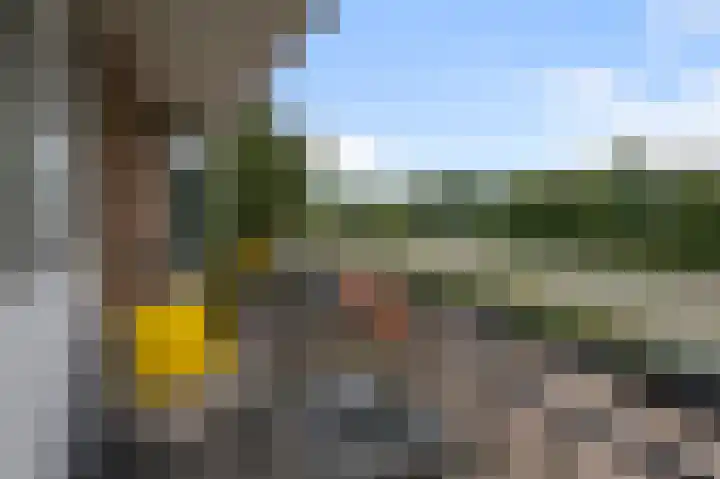 Pellekaanstraat 32 B Koog aan de Zaan thumbnail 25
