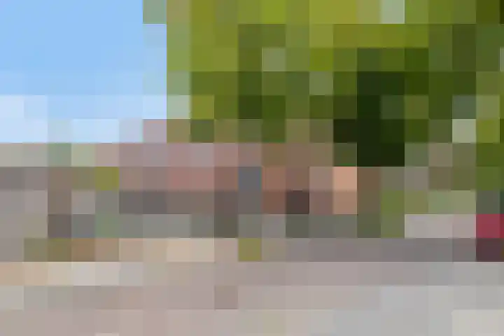 Pellekaanstraat 32 B Koog aan de Zaan thumbnail 32