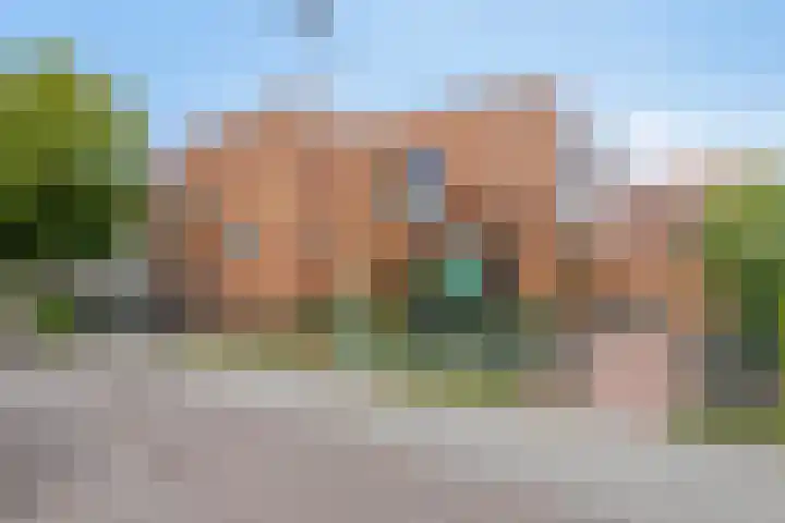Pellekaanstraat 32 B Koog aan de Zaan thumbnail 33