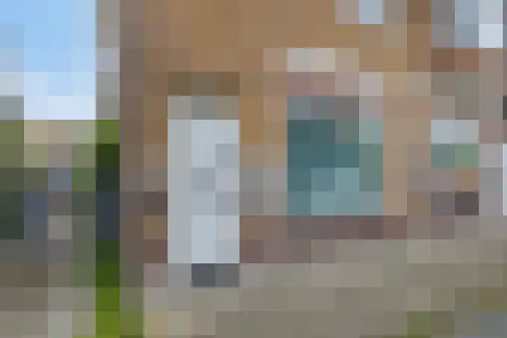 Pellekaanstraat 32 B Koog aan de Zaan thumbnail 5