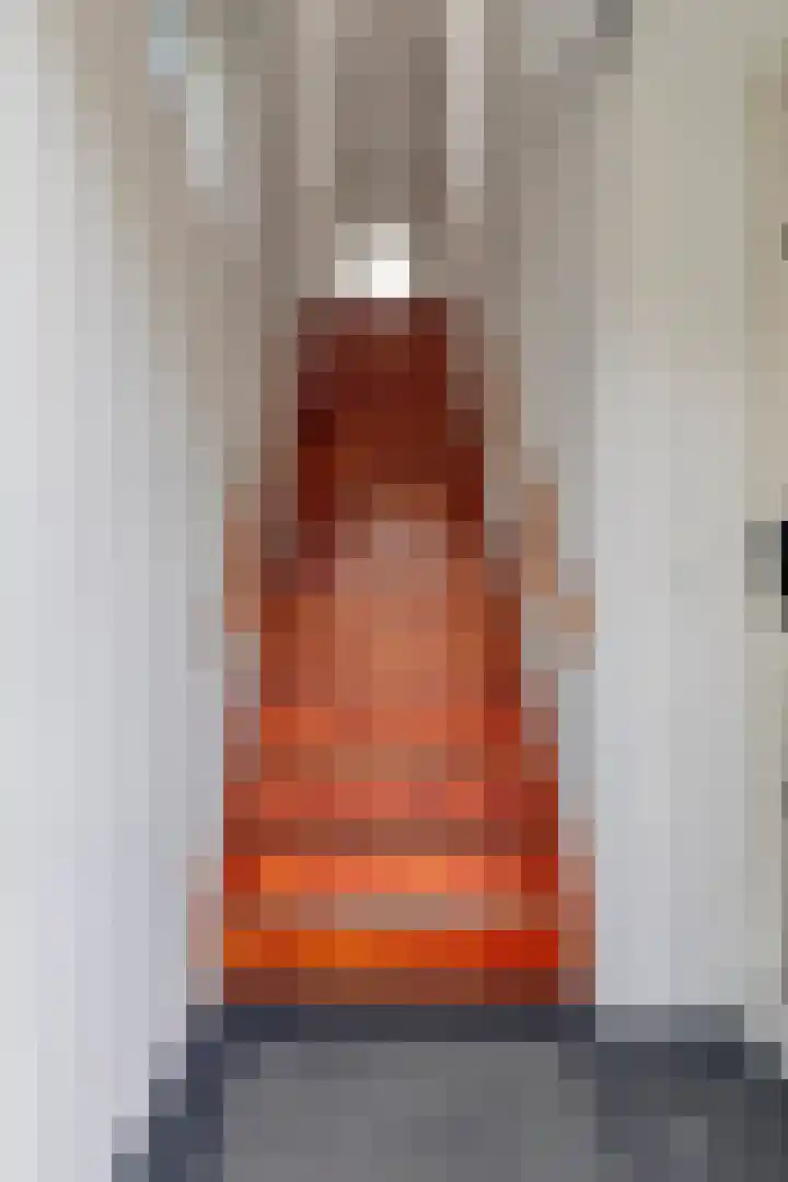 Pellekaanstraat 32 B Koog aan de Zaan thumbnail 6