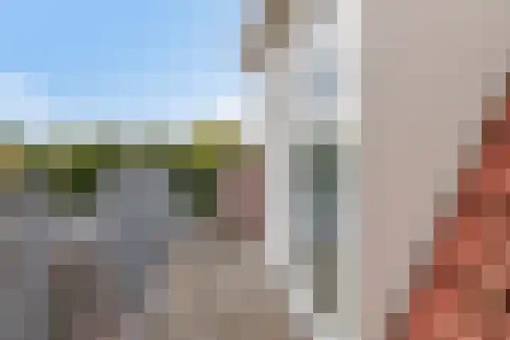 Pellekaanstraat 32 B Koog aan de Zaan thumbnail 8