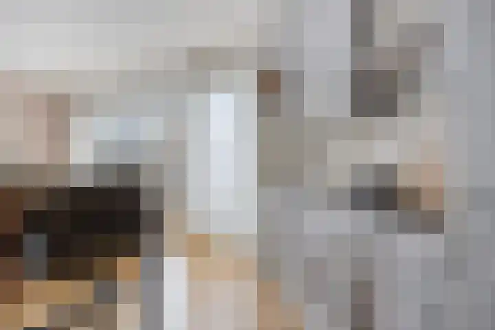 Pellekaanstraat 34 B Koog aan de Zaan thumbnail 14