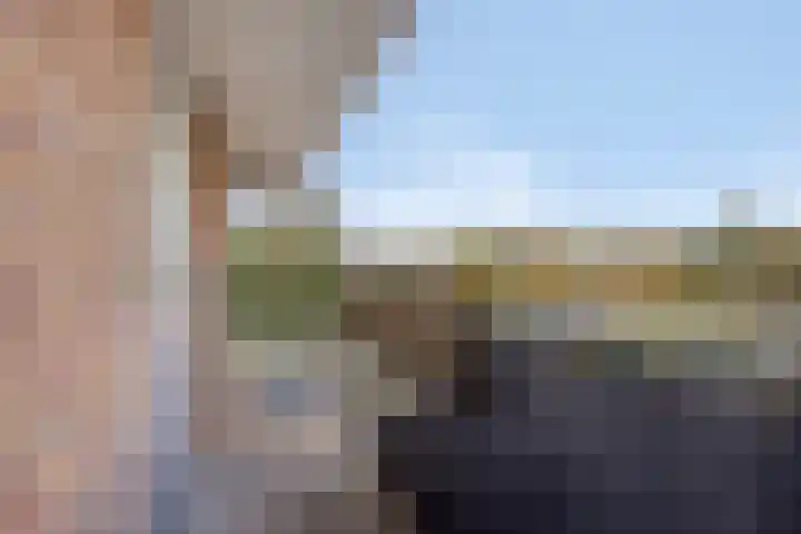 Pellekaanstraat 34 B Koog aan de Zaan thumbnail 26