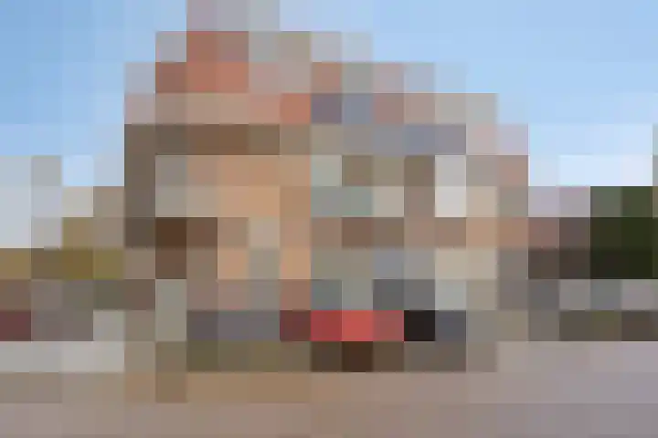 Pellekaanstraat 34 B Koog aan de Zaan thumbnail 32