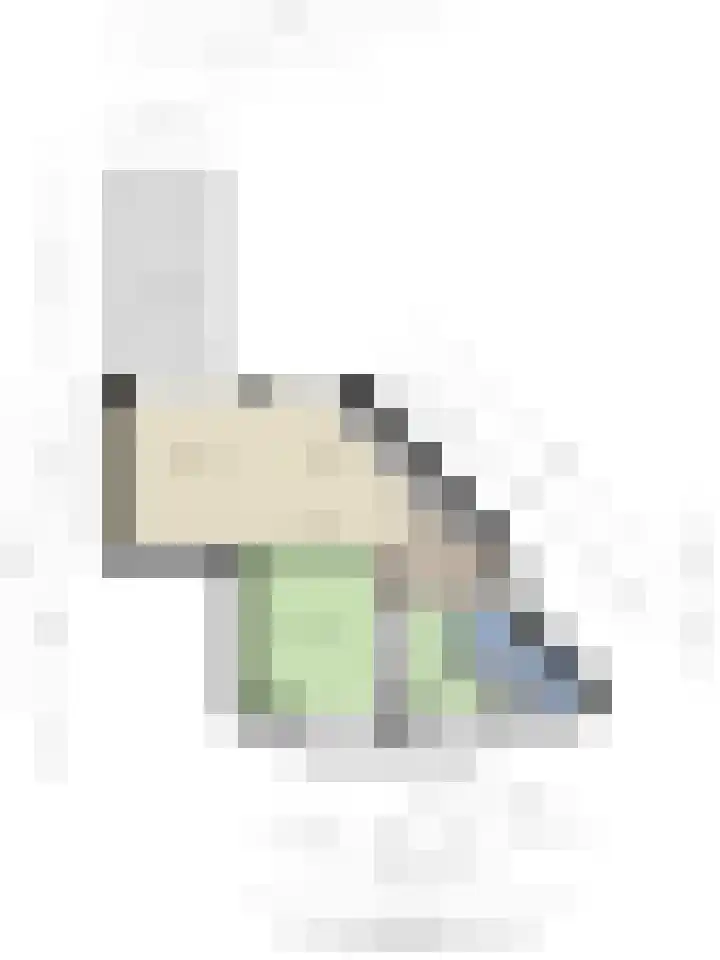 Pellekaanstraat 34 B Koog aan de Zaan thumbnail 34