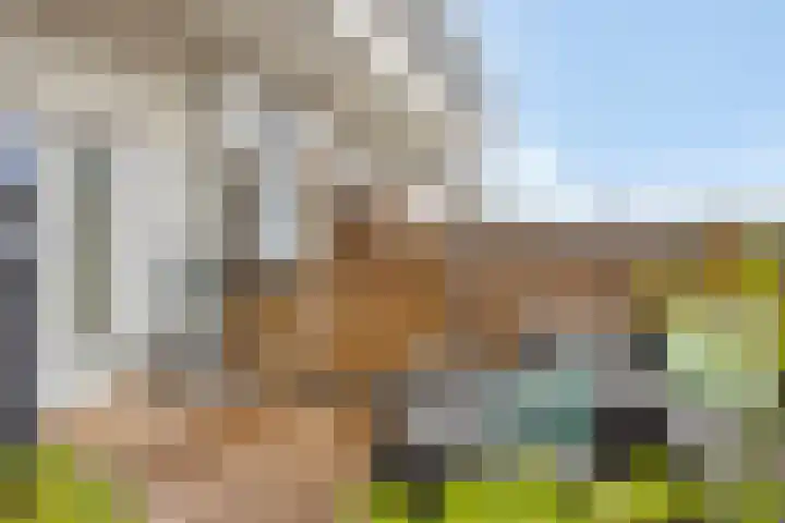 Pellekaanstraat 34 B Koog aan de Zaan thumbnail 4