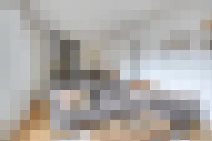 Pellekaanstraat 34 B Koog aan de Zaan thumbnail 9