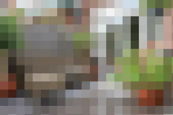 Pellekaanstraat 40 Koog aan de Zaan thumbnail 18