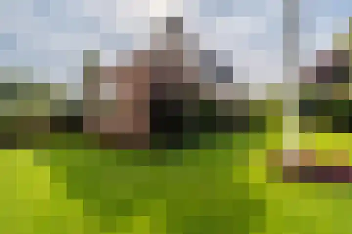 Pellerij 1 Delfzijl thumbnail 20