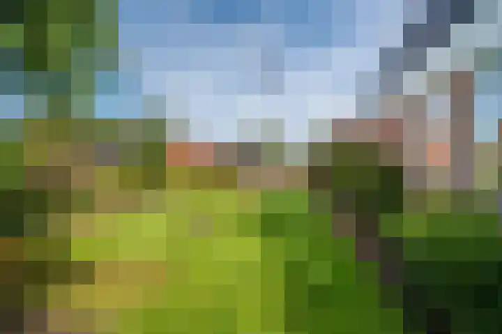 Pellerij 1 Delfzijl thumbnail 21