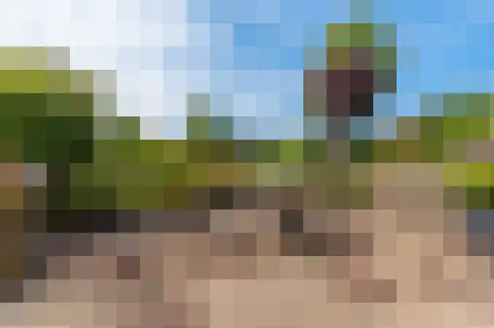 Pellerij 1 Delfzijl thumbnail 26