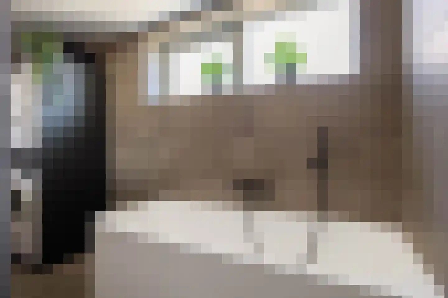 Pellerij 14 Winsum thumbnail 10