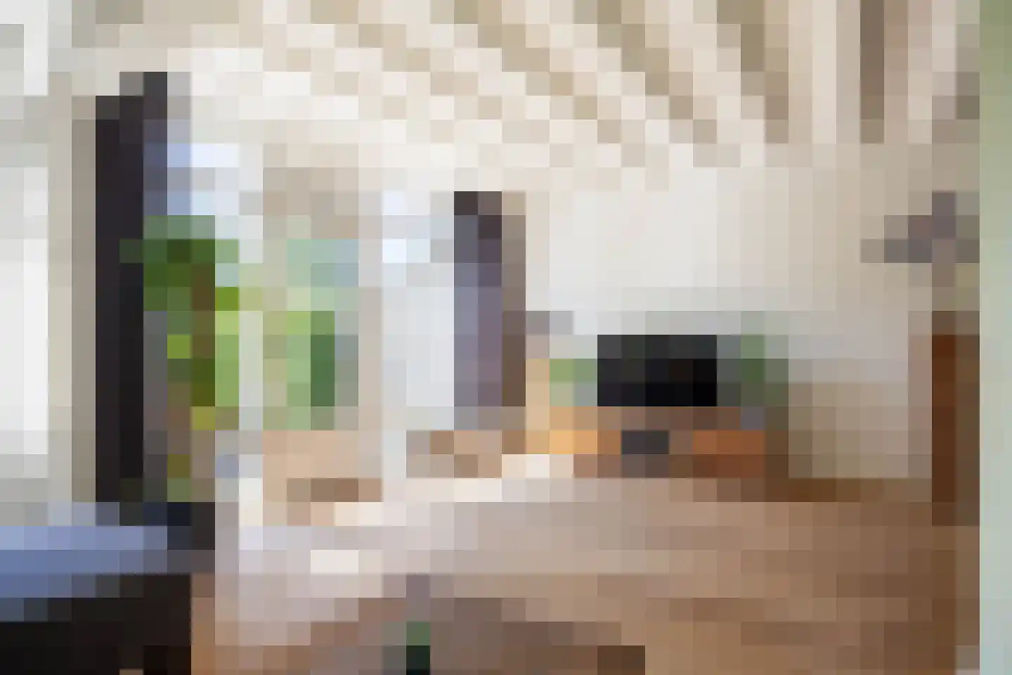 Pellerij 14 Winsum thumbnail 18