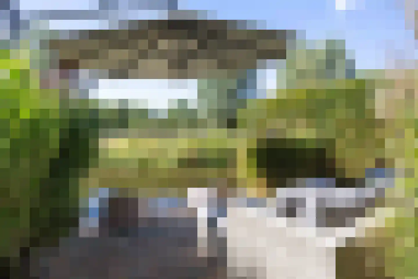 Pellerij 14 Winsum thumbnail 24