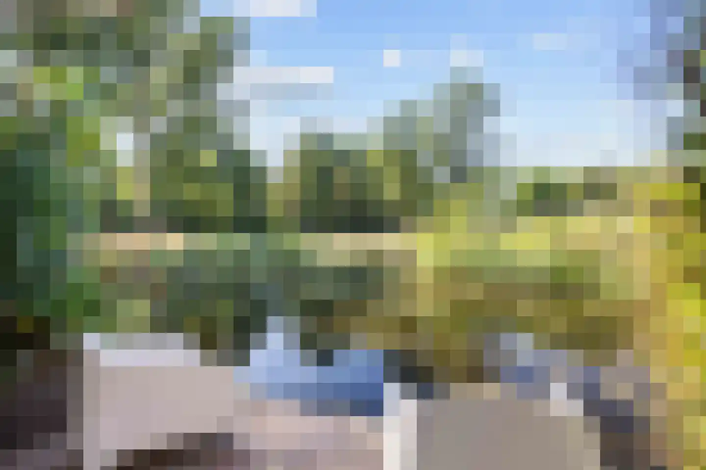 Pellerij 14 Winsum thumbnail 25