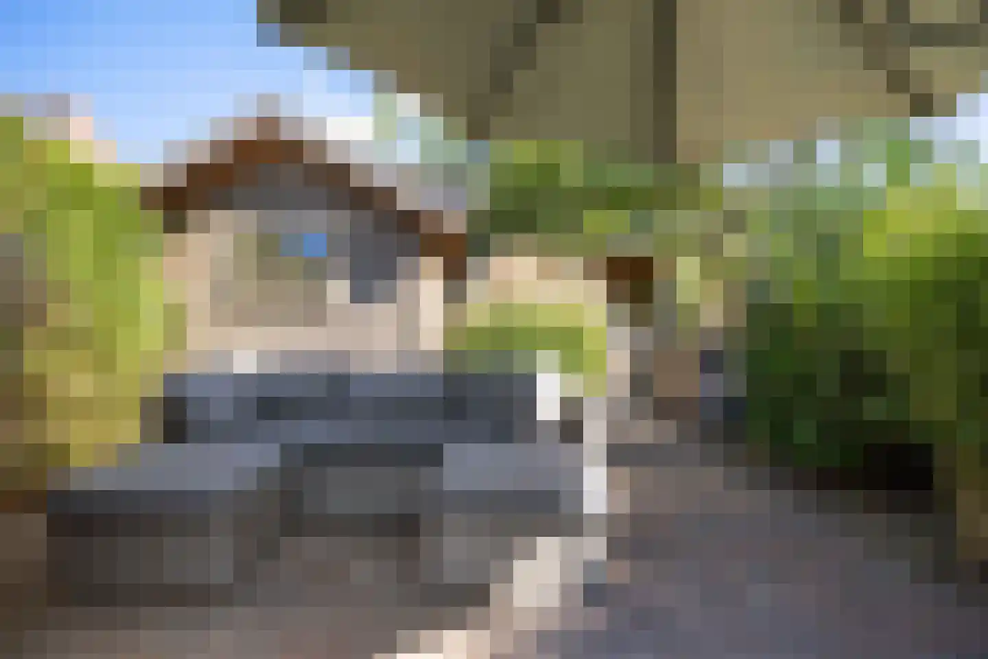 Pellerij 14 Winsum thumbnail 26