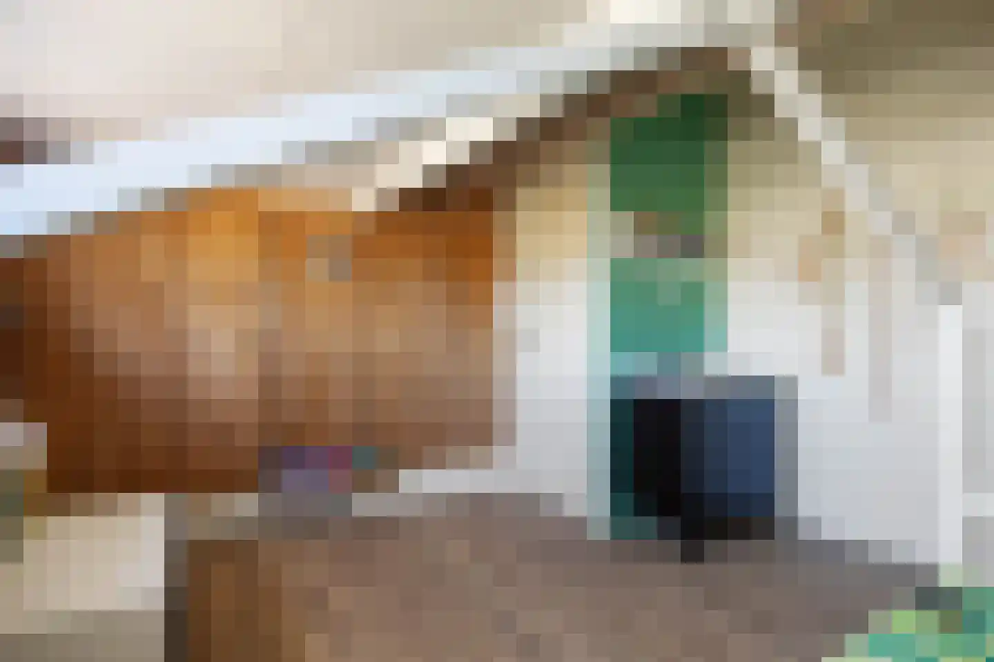 Pellerij 14 Winsum thumbnail 30