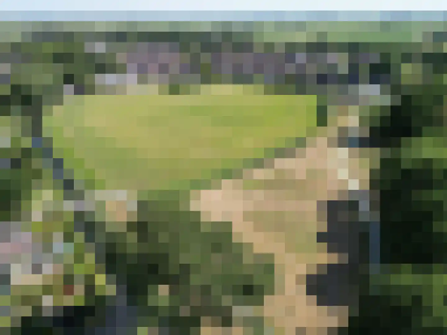 Pellerij 14 Winsum thumbnail 4