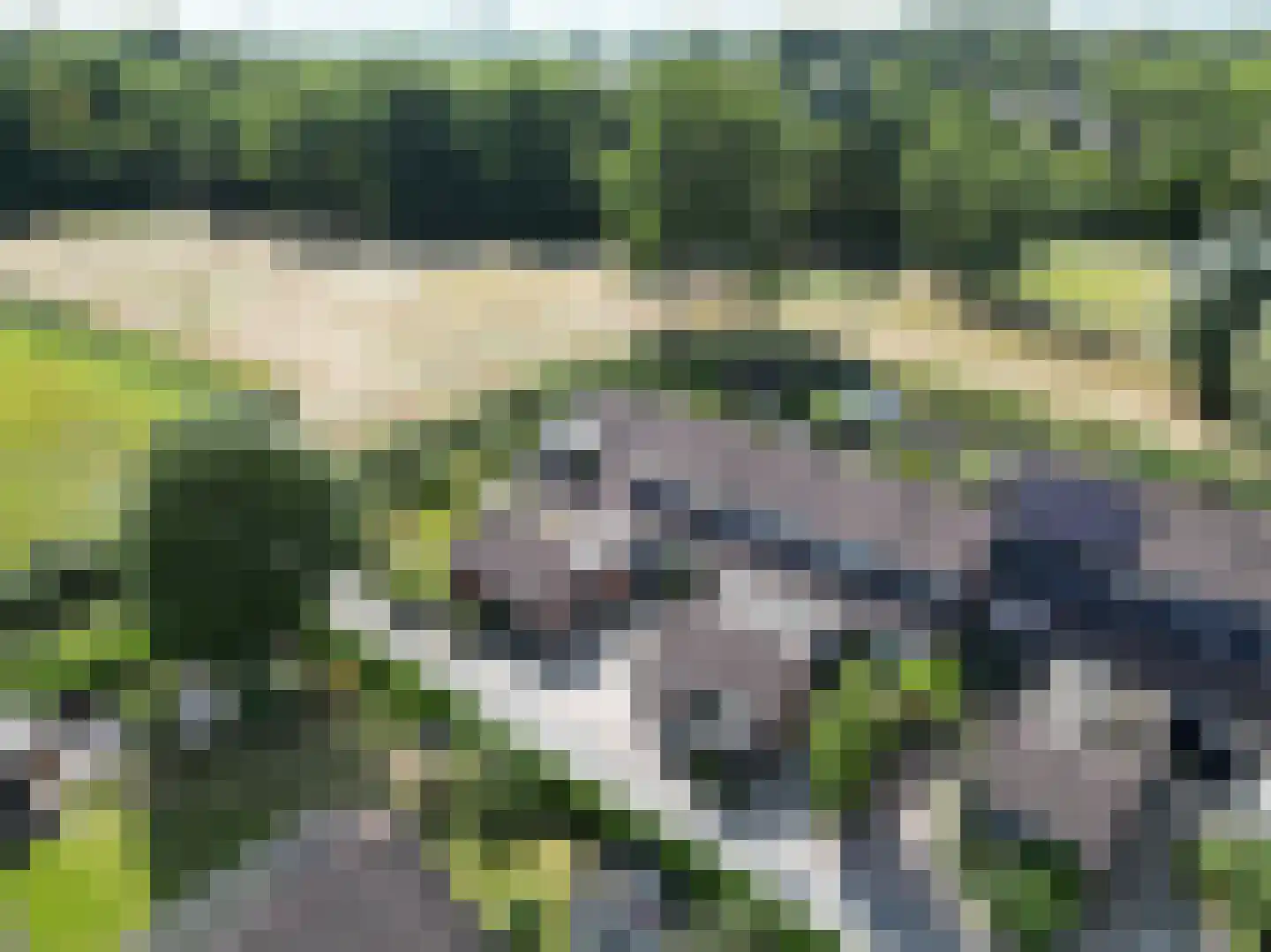 Pellerij 14 Winsum thumbnail 5