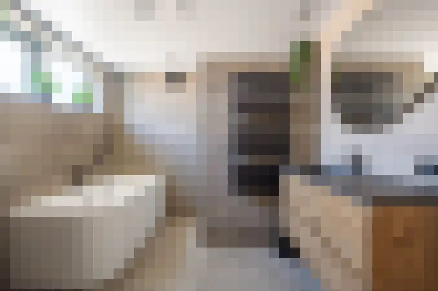 Pellerij 14 Winsum thumbnail 8