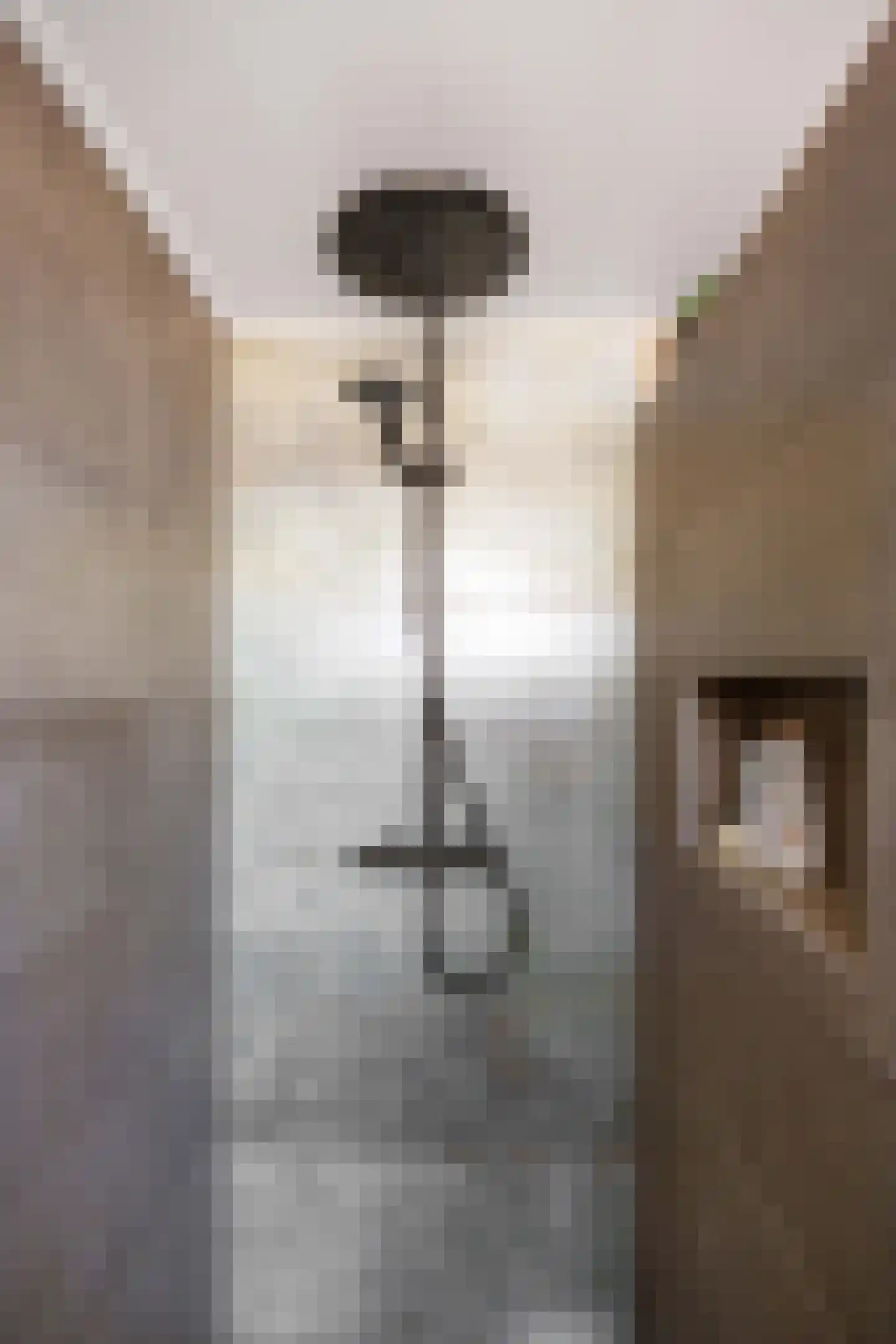Pellerij 14 Winsum thumbnail 9
