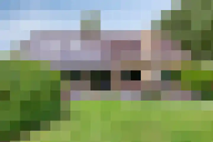 Pellerij 6 Delfzijl thumbnail 11
