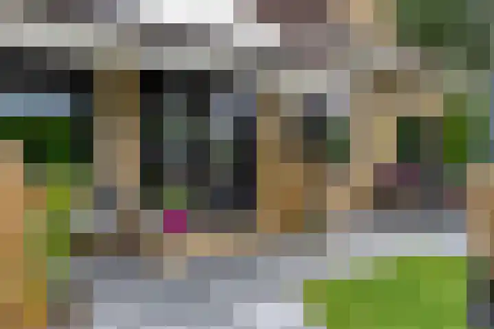 Pellerij 6 Delfzijl thumbnail 13