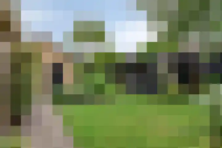 Pellerij 6 Delfzijl thumbnail 15