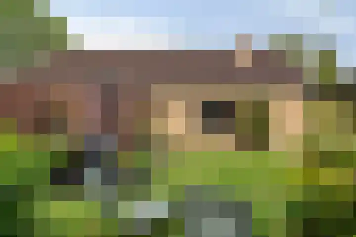 Pellerij 6 Delfzijl thumbnail 17