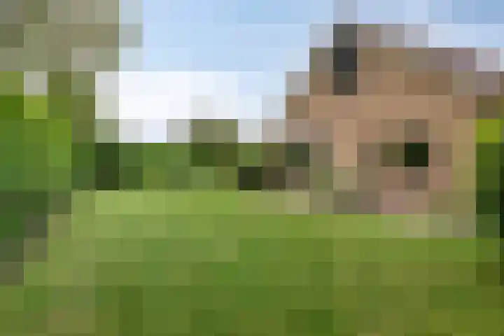 Pellerij 6 Delfzijl thumbnail 18
