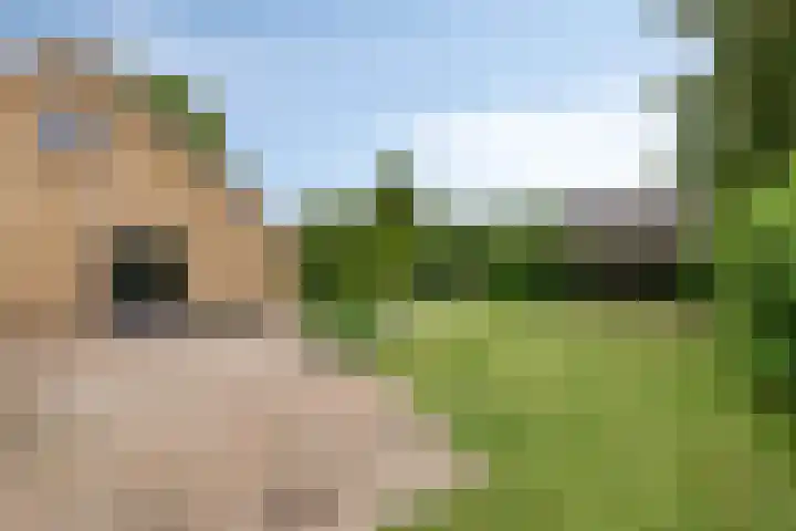 Pellerij 6 Delfzijl thumbnail 19