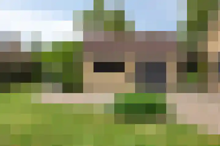 Pellerij 6 Delfzijl thumbnail 20