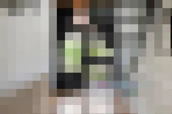 Pellerij 6 Delfzijl thumbnail 21