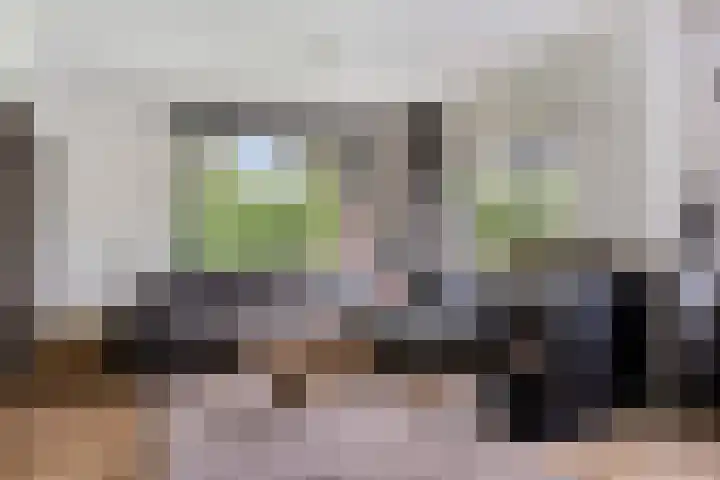 Pellerij 6 Delfzijl thumbnail 24
