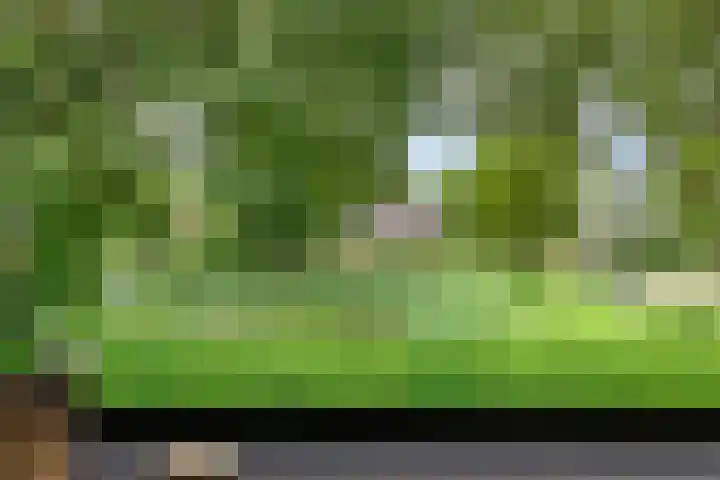 Pellerij 6 Delfzijl thumbnail 25