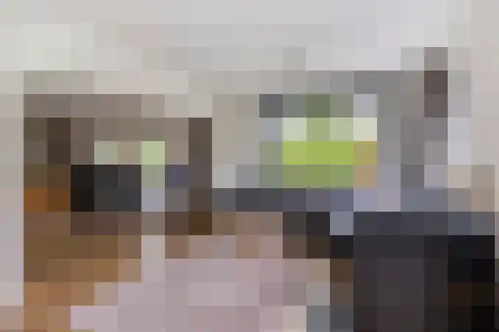 Pellerij 6 Delfzijl thumbnail 26