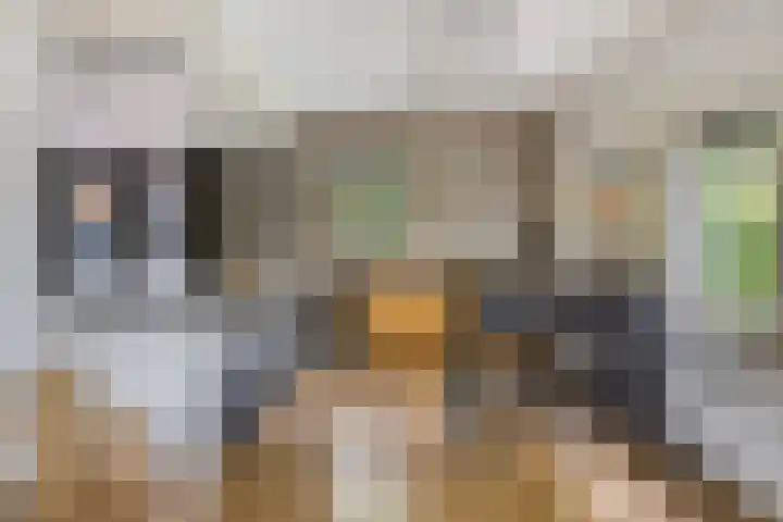 Pellerij 6 Delfzijl thumbnail 27