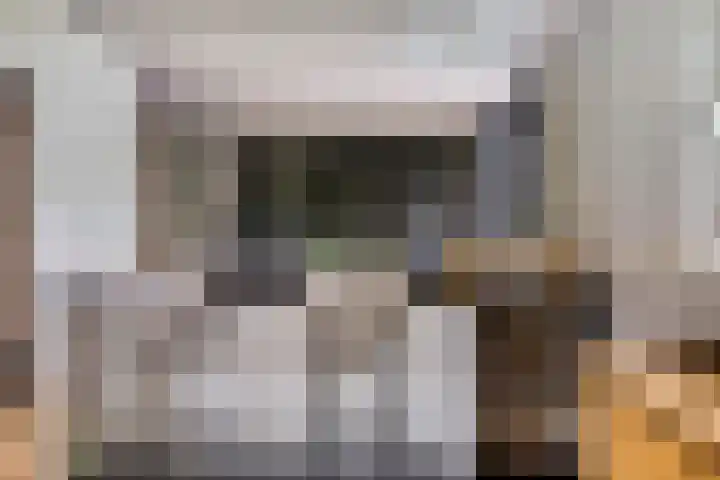 Pellerij 6 Delfzijl thumbnail 28