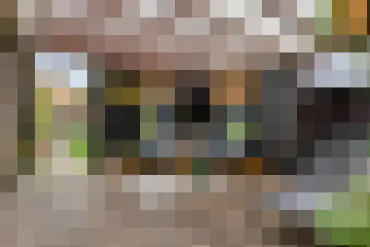 Pellerij 6 Delfzijl thumbnail 31