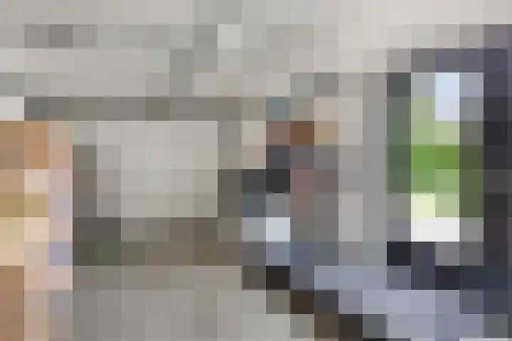 Pellerij 6 Delfzijl thumbnail 39