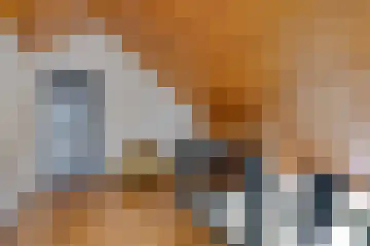 Pellerij 6 Delfzijl thumbnail 42